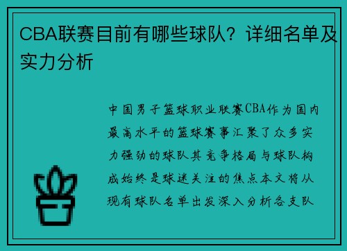 CBA联赛目前有哪些球队？详细名单及实力分析
